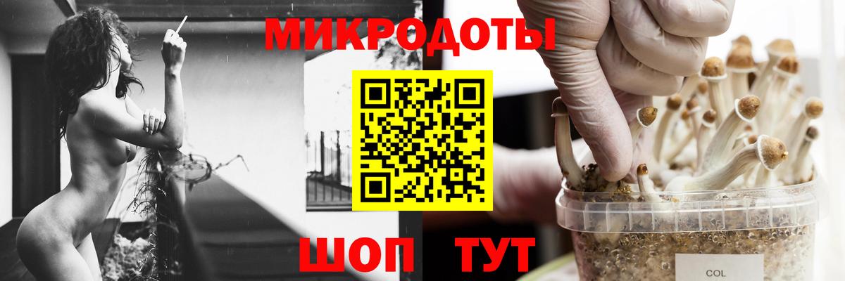 Серпухов  Галлюциногенные грибы Psilocybe  Галлюциногенные грибы Psilocybe  Вход с VPN 